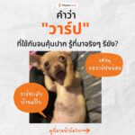 คำว่า “วาร์ป” มาจากไหนกันนะ?