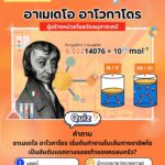 ผู้สร้างหน่วยโมลวัดอนุภาคเคมี
